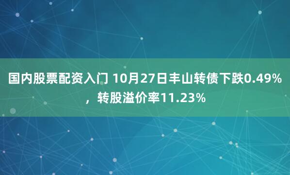 国内股票配资入门 10月27日丰山转债下跌0.49%，转股溢价率11.23%